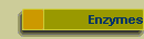 Enzymes